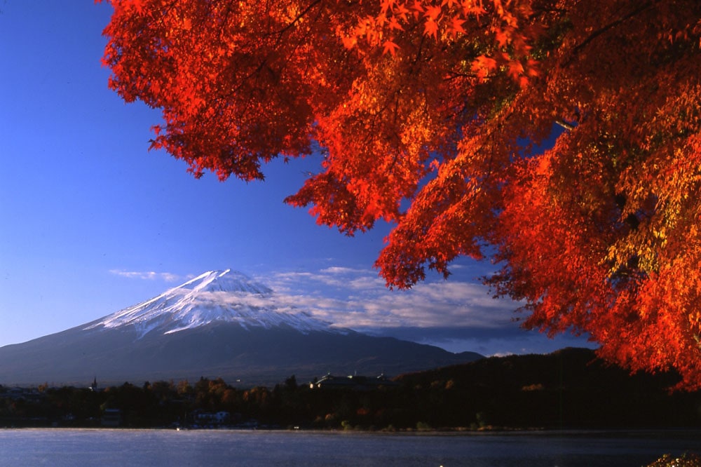 An autumn trip to Mt. Fuji. Enjoy a walk with a view of autumn foliage.