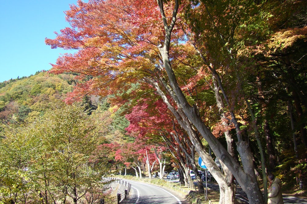 One is “Momiji (Autumn Leaves) Corridor”. 