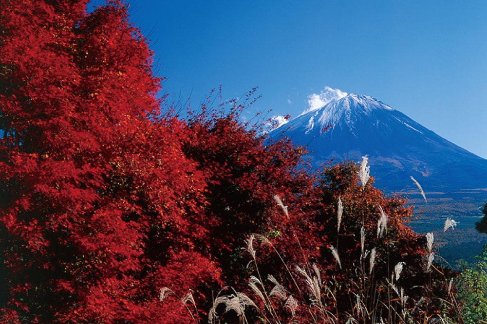 The first spot on the list: “Mt. Koyodai”, one of the eight views of Mt. Fuji